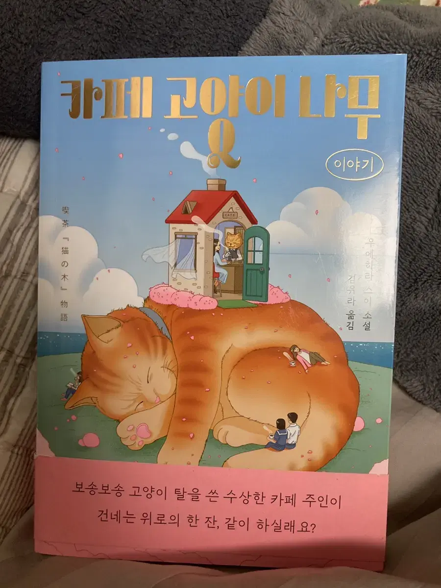 카페 고양이 나무 